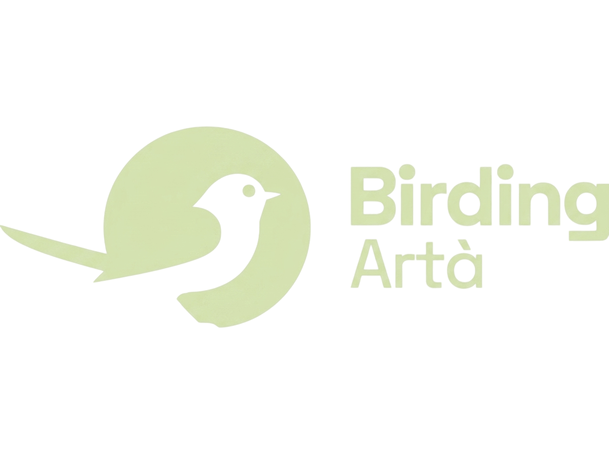 Birding Artá